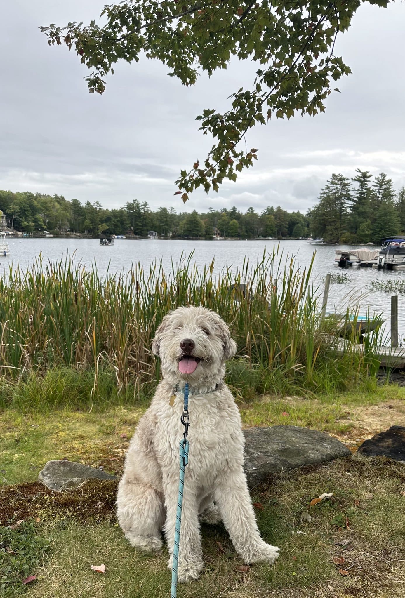 Steve and Ziggy walking by the lake